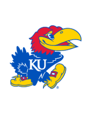 Jayhawk Placeholder